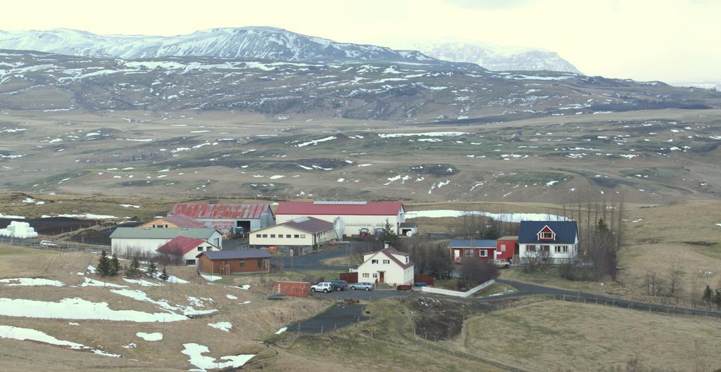 Guesthouse Steinsholt Kültér fotó